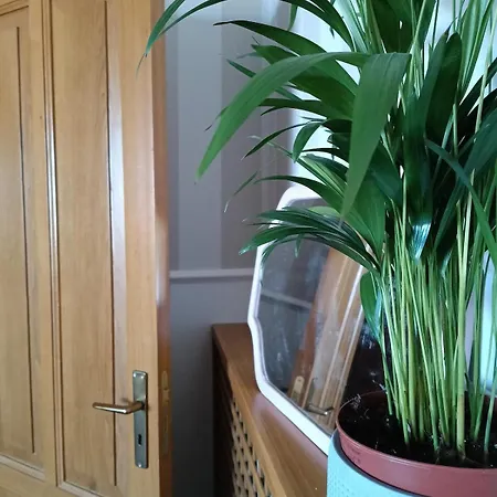 Дом отдыха Zillo House, Attico In Римини