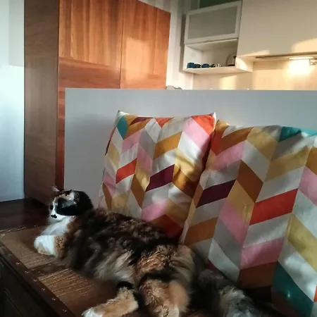 Zillo House, Attico In 펜션 *
