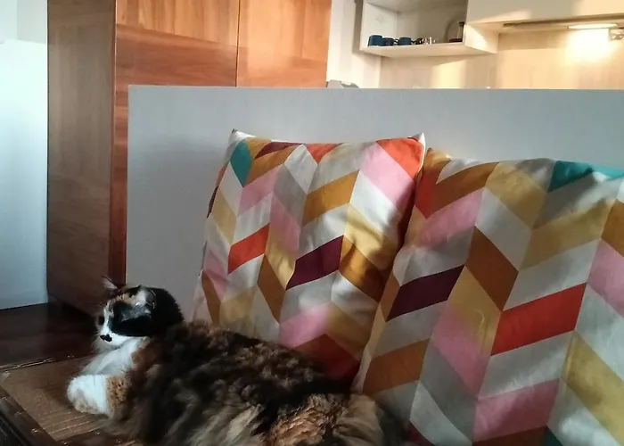 Zillo House, Attico In Casa de Férias *