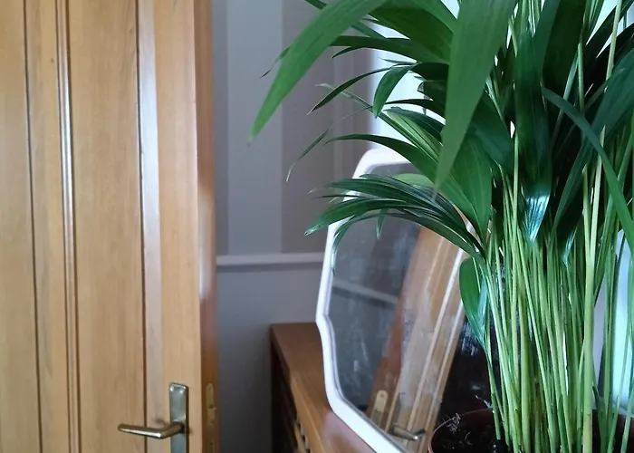 Сasa de vacaciones Zillo House, Attico In Rímini